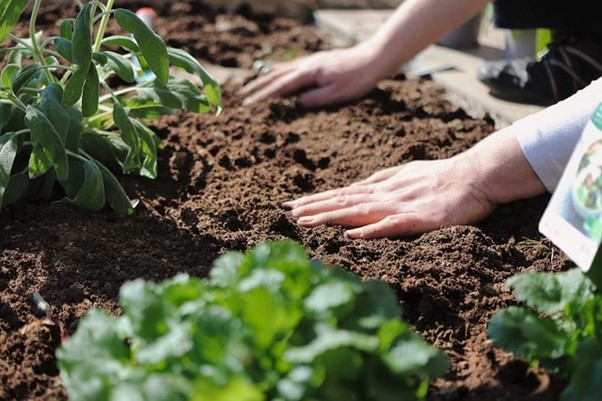 30 Soil Disposal Methods