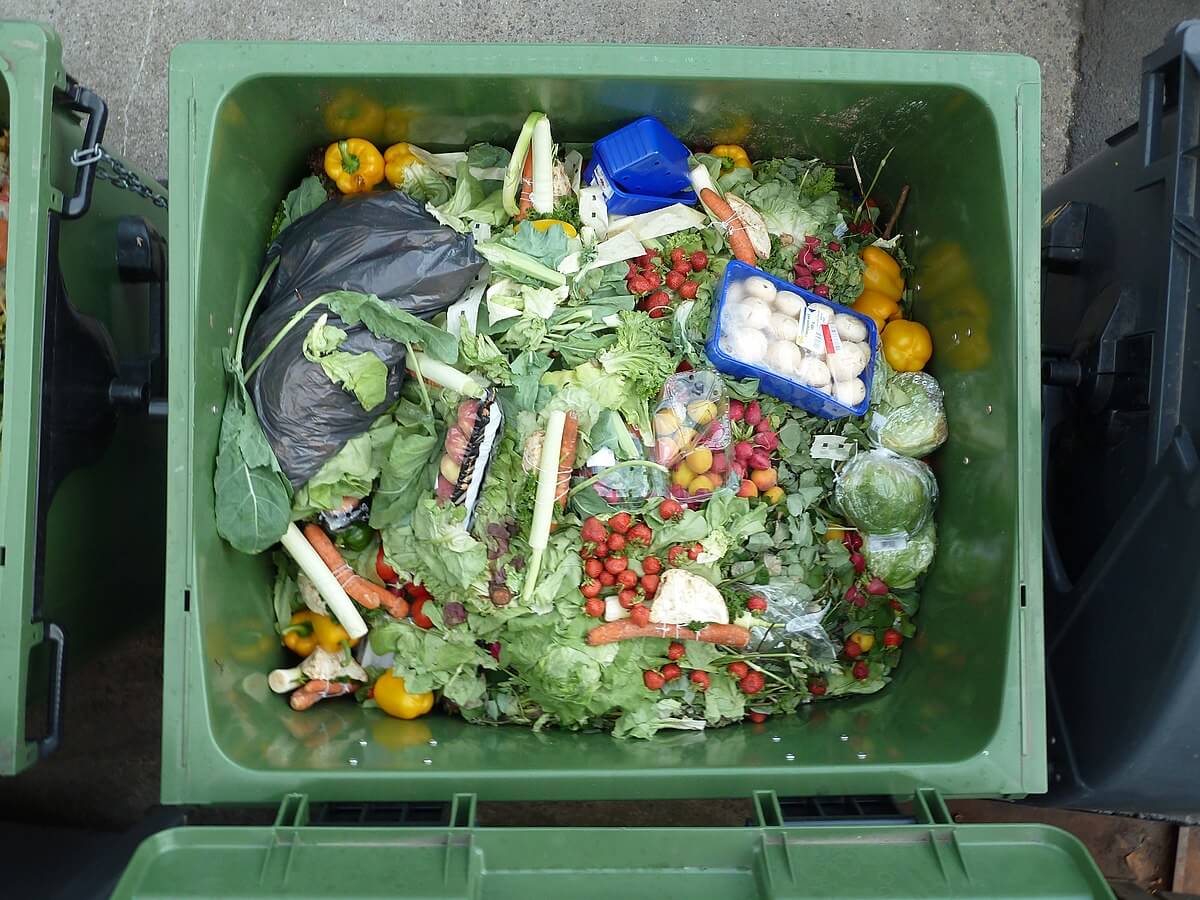 Ethical Food Waste Management for Business Owners