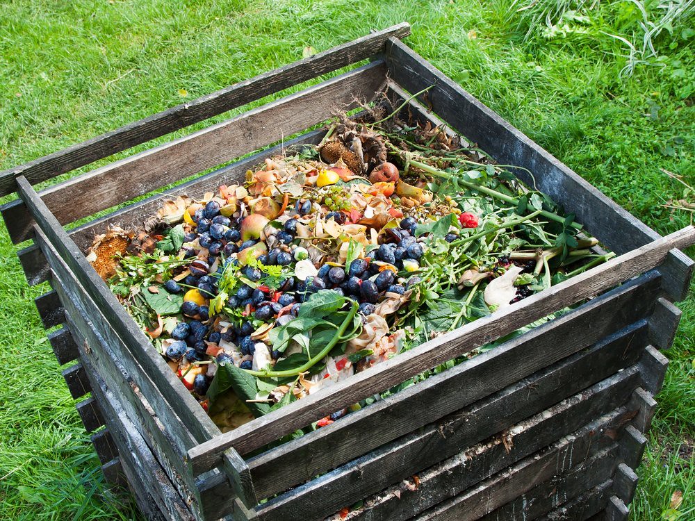 Organic Waste Creating a Sustainable Future