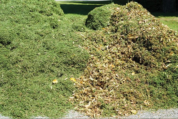The Power of Green Waste How to Make a Difference